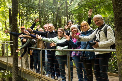 All Inclusive Blue Mountains Small-Group Day Trip From Sydney - Coogee Beach Accommodation 5