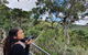 Lamington National Park, O'Reilly's & Vineyard Tour - thumb 1