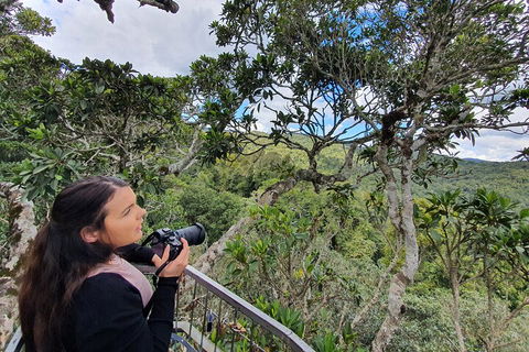 Lamington National Park, O'Reilly's & Vineyard Tour - Coogee Beach Accommodation 1