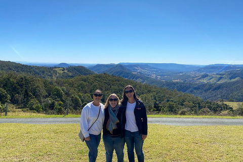 Lamington National Park, O'Reilly's & Vineyard Tour - Coogee Beach Accommodation 3