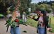 Lamington National Park, O'Reilly's & Vineyard Tour - thumb 5