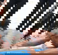 Group Surfing Lessons Kool Katz 1 day - Coogee Beach Accommodation