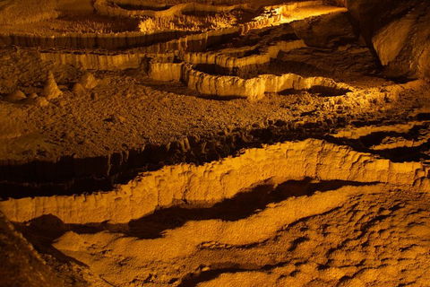 The Explorers' Discovery Tour - Gold, Wine & Wildlife - Coogee Beach Accommodation 0