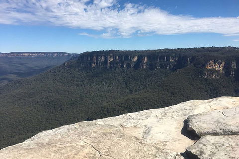 The Explorers' Discovery Tour - Gold, Wine & Wildlife - Coogee Beach Accommodation 1