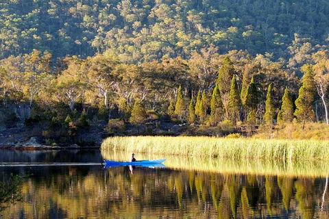 The Explorers' Discovery Tour - Gold, Wine & Wildlife - Coogee Beach Accommodation 2