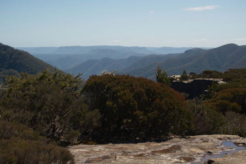 The Explorers' Discovery Tour - Gold, Wine & Wildlife - Coogee Beach Accommodation 3