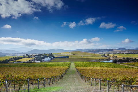 Yarra Valley Wine And Wildlife Self-Driving Tour - Coogee Beach Accommodation 1