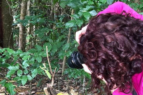 Let's Go Buggin & Let's Go Shroomin - Photography & Nature Walking Tours - Coogee Beach Accommodation 1