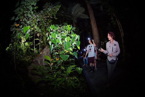 Let's Go Buggin & Let's Go Shroomin - Photography & Nature Walking Tours - Coogee Beach Accommodation 4