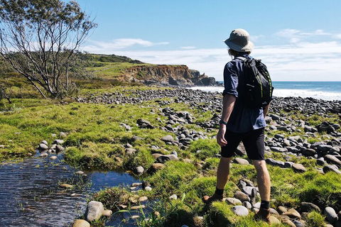 Half Day Guided Small Group Walk - Coogee Beach Accommodation 0