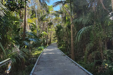 Half Day Guided Small Group Walk - Coogee Beach Accommodation 3