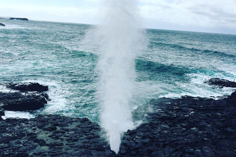 Southern Highlands & South Coast Private Tour From Sydney - Coogee Beach Accommodation 5