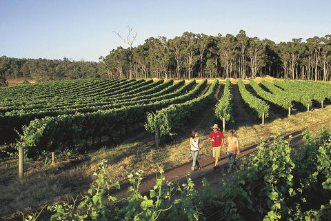 Margaret River, Caves, Wine And Cape Leeuwin Lighthouse Tour From Perth - Coogee Beach Accommodation 1