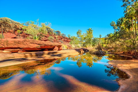 7-Day Guided Tour Of Alice Springs With Accommodation Included - Coogee Beach Accommodation 1