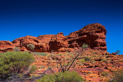 7-Day Guided Tour Of Alice Springs With Accommodation Included - Coogee Beach Accommodation 4