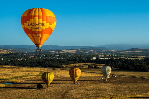 Yarra Valley Balloon Flight And Winery Tour - Coogee Beach Accommodation 0