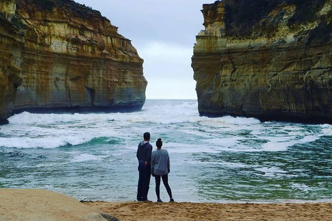 Great Ocean Road Small-Group Ecotour From Melbourne - Coogee Beach Accommodation 1