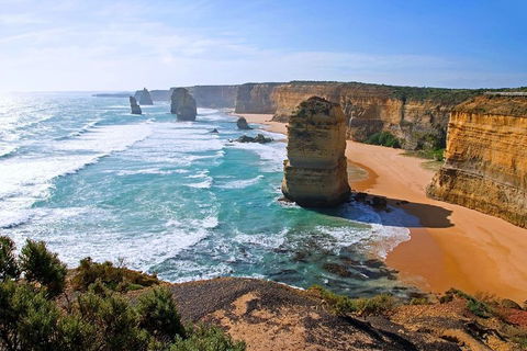 Great Ocean Road Small-Group Ecotour From Melbourne - Coogee Beach Accommodation 2