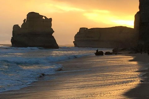 Great Ocean Road Small-Group Ecotour From Melbourne - Coogee Beach Accommodation 5