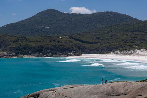 Wilson's Promontory Small Group Eco Tour From Melbourne - Coogee Beach Accommodation 0