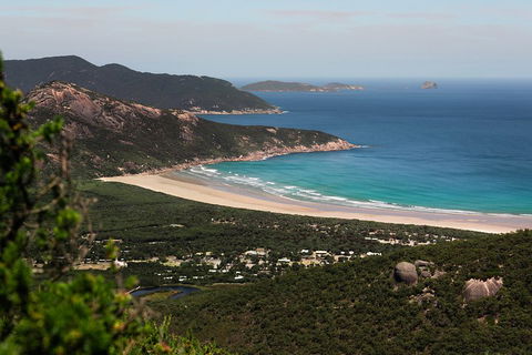 Wilson's Promontory Small Group Eco Tour From Melbourne - Coogee Beach Accommodation 4
