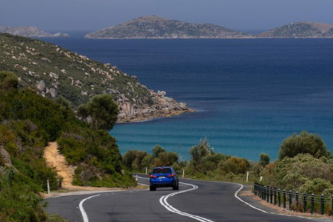 Wilson's Promontory Small Group Eco Tour From Melbourne - Coogee Beach Accommodation 5