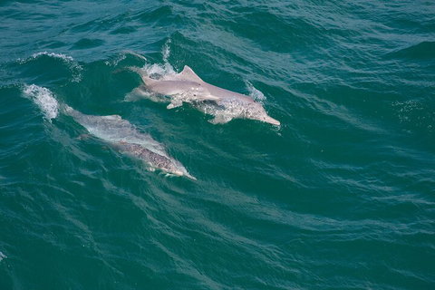 North Stradbroke Island Private Tour With Pickup - Coogee Beach Accommodation 0