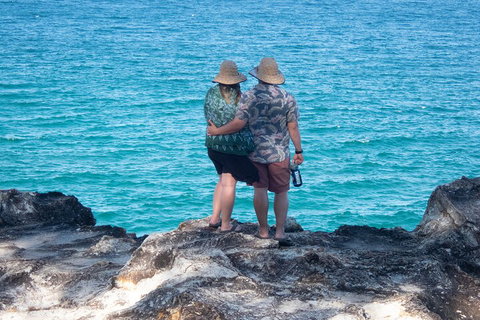 North Stradbroke Island Private Tour With Pickup - Coogee Beach Accommodation 4