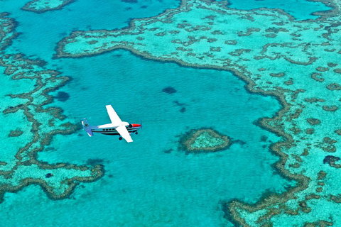 Reef And Island Scenic Flight From Airlie Beach - Coogee Beach Accommodation 4