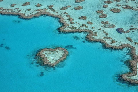 Reef And Island Scenic Flight From Airlie Beach - Coogee Beach Accommodation 5