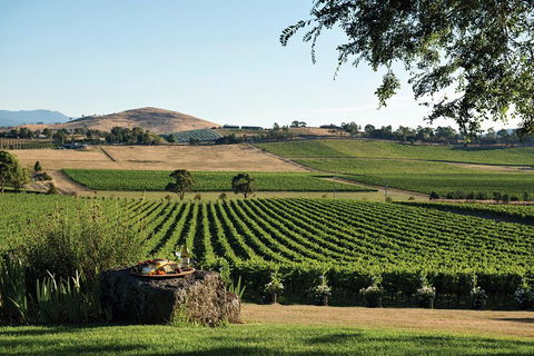 Small Group 6 Guests: Ultimate Yarra Valley Food And Wine - Mercedes Van - Coogee Beach Accommodation 4