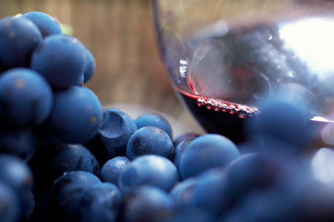 Yarra Valley 2-6 Guests Premium Food And Wine Inc Lunch At Dominique Portet - Coogee Beach Accommodation 5