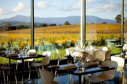 Yarra Valley Premium Tour Inc Lunch And Cheese, Chocolate Fondue At Rochford - Coogee Beach Accommodation 2