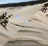 Port Stephens Bush Beach and Sand Dune 4WD Tag-Along Tour - Coogee Beach Accommodation