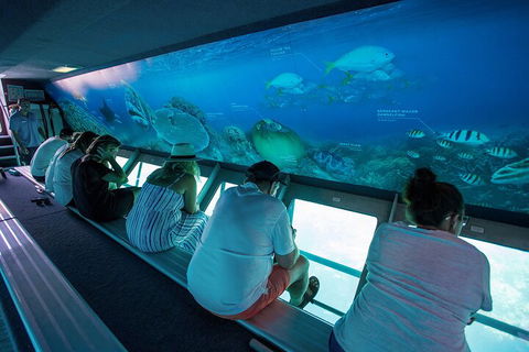 Great Barrier Reef Day Cruise To Reefworld - Coogee Beach Accommodation 0