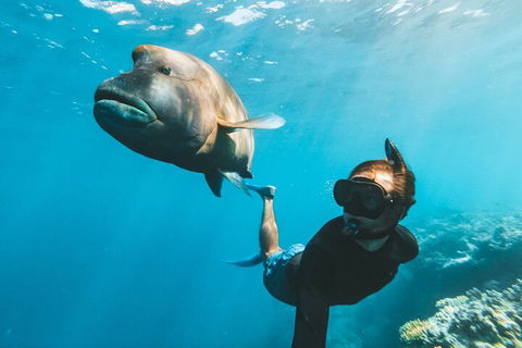 Great Barrier Reef Day Cruise To Reefworld - Coogee Beach Accommodation 3