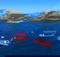 3-Hour Byron Bay Certified Scuba Diving Tour - Coogee Beach Accommodation