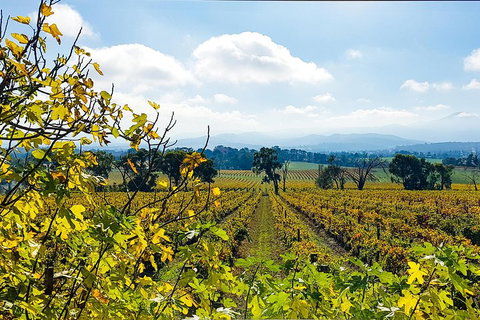 Yarra Valley Wine & Food Tour Departing From Melbourne - Coogee Beach Accommodation 4