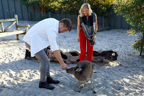 Albany's Whale Story - Coogee Beach Accommodation 1