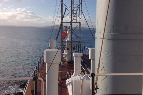 Albany's Whale Story - Coogee Beach Accommodation 2