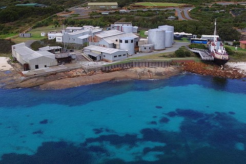 Albany's Whale Story - Coogee Beach Accommodation 4