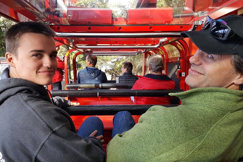 Fully Inclusive Blue Mountains Private Tour Inc Scenic World & Featherdale Entry - Coogee Beach Accommodation 1