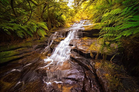 Fully Inclusive Blue Mountains Private Tour Inc Scenic World & Featherdale Entry - Coogee Beach Accommodation 3