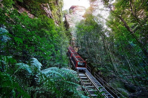 Fully Inclusive Blue Mountains Private Tour Inc Scenic World & Featherdale Entry - Coogee Beach Accommodation 4