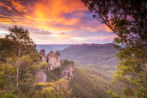 Fully Inclusive Blue Mountains Private Tour Inc Scenic World & Featherdale Entry - Coogee Beach Accommodation 5