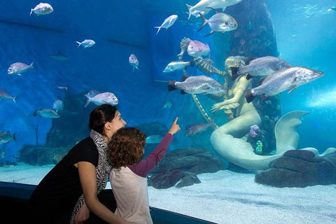 SEA LIFE Melbourne Aquarium Admission Ticket - Coogee Beach Accommodation 4