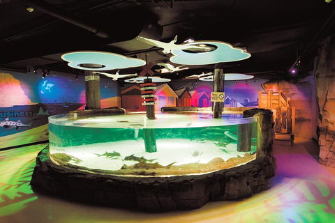 SEA LIFE Melbourne Aquarium Admission Ticket - Coogee Beach Accommodation 5