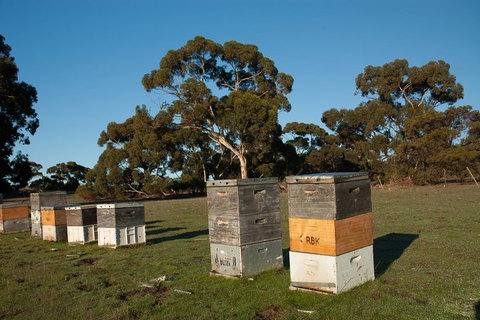 Fine Flavours - Full Day Kangaroo Island Food & Wine Tour - Coogee Beach Accommodation 1