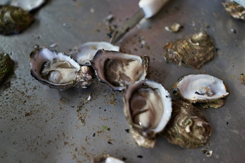 Fine Flavours - Full Day Kangaroo Island Food & Wine Tour - Coogee Beach Accommodation 2