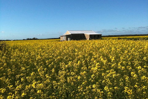 Fine Flavours - Full Day Kangaroo Island Food & Wine Tour - Coogee Beach Accommodation 3